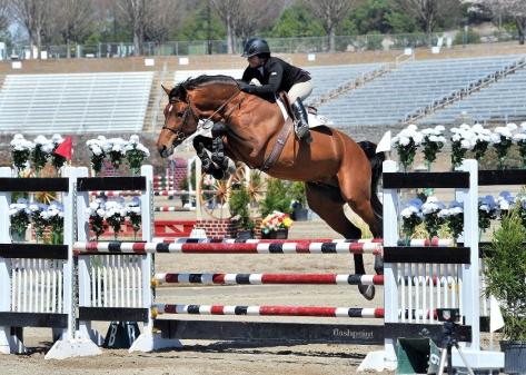 DD now, as a 5yo. He can JUMP!