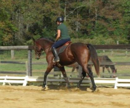 me on DD when he was but a wee (giant) 3yo