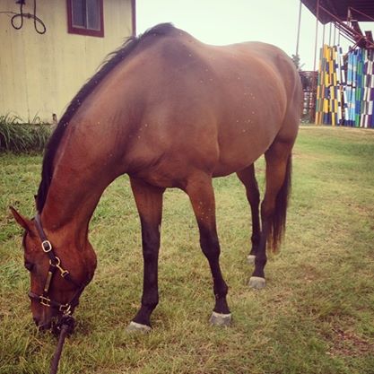 nomnomnom mini-vacation is delicious