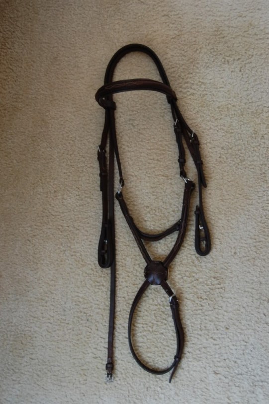 what it looks like with oil/use