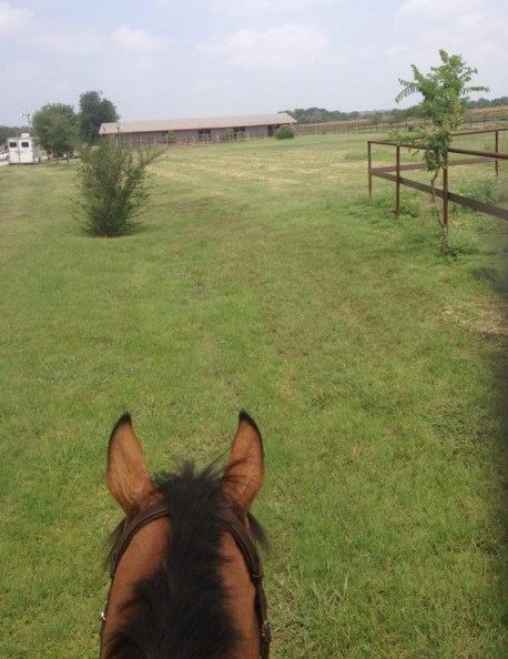 I can't believe how green it is in JULY!