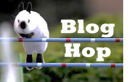 bloghopfbpony