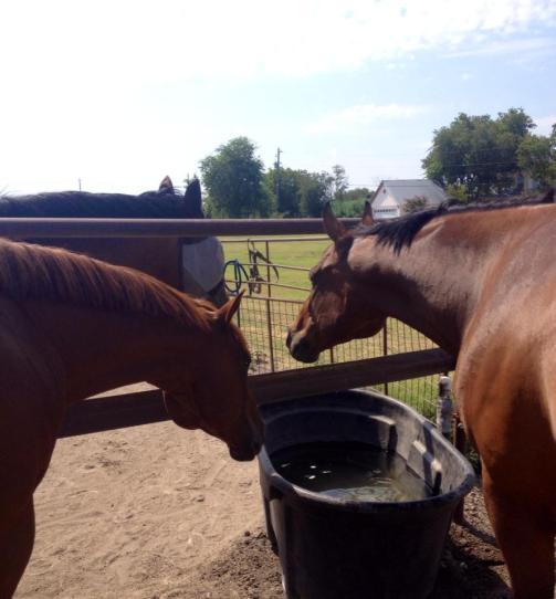 We're in the middle of a meeting, go away