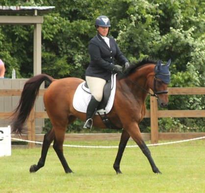 dressage1