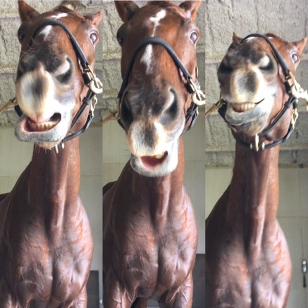 27adc8cf-6979-4685-a78f-72a908f9b23b-1