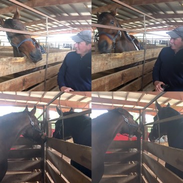 54bc2d42-4e44-4d20-9488-55c2ab54e708-1