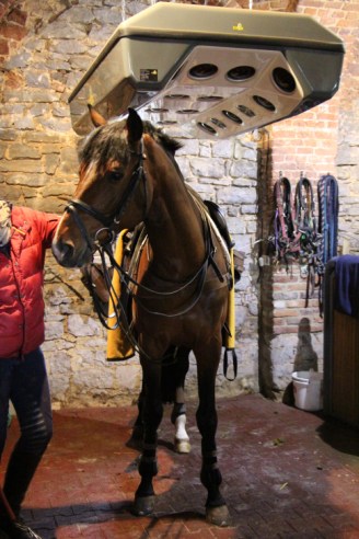 MMmightysmatchbelgium