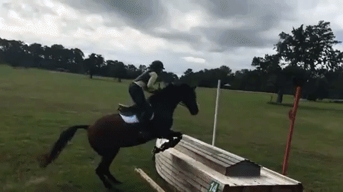 giphy-downsized-large