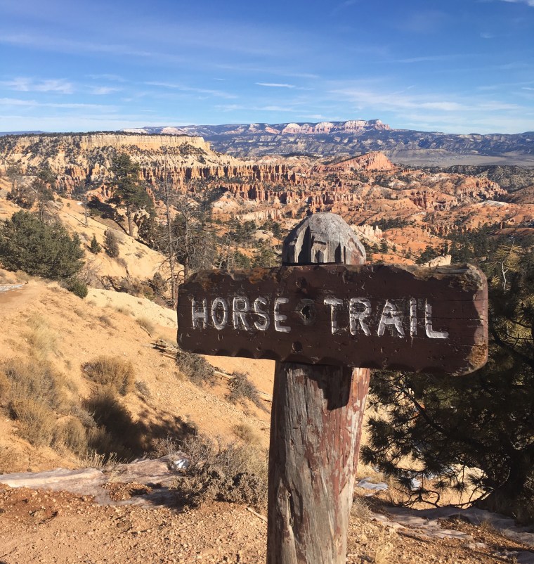 Found the horse trail, but no horses