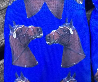 XCsocks2