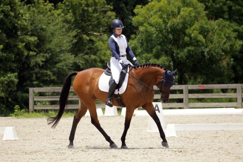 ChattDressage4