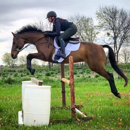 4c6a0051-7aa3-47be-b953-77b9e611ed08