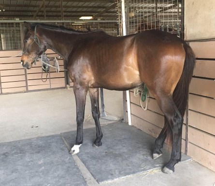 409e3cbd-b2bb-4e0c-9932-8c3828a677b1