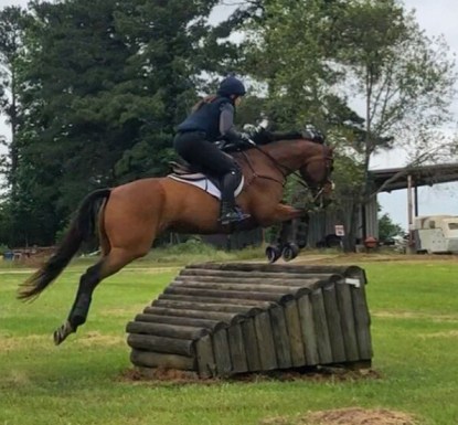 66ddfe63-8072-4e8e-bcdf-4413ed99cc1a