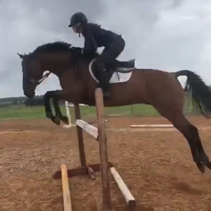 062f96cc-c186-4e0c-b652-b53abb6d4ff9