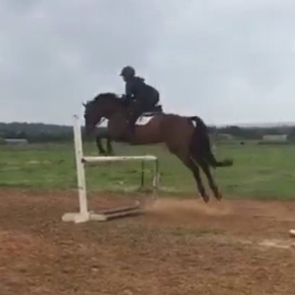 8070dbe8-60db-4352-9c07-12391b90e29f