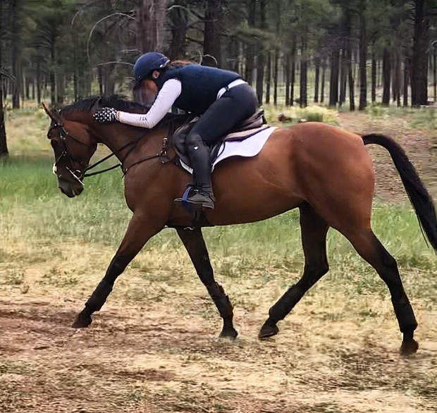 2150c4ec-1e83-419c-adaa-4ecc1268aac3