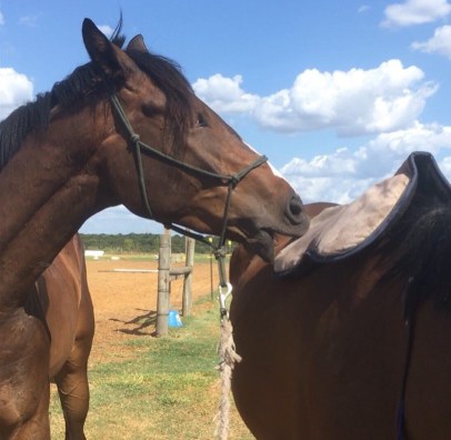 7f956db9-07f2-41e2-b38a-6cbfdd335a1a