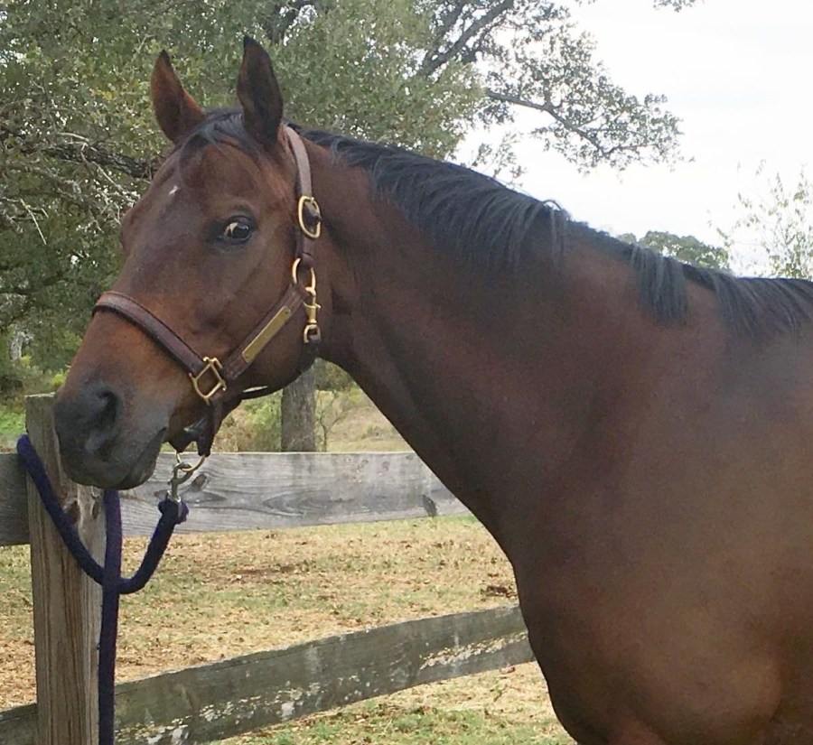 5c35e5d8-30c9-44b3-a1fe-e5532f21507f