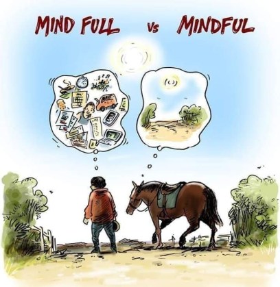 Mindful