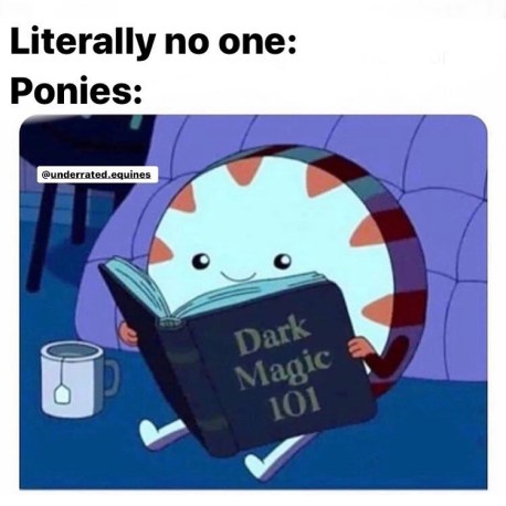 memeponies