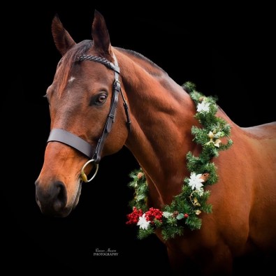 315cf5b0-9a7e-44f9-80a0-882ce2c0da71