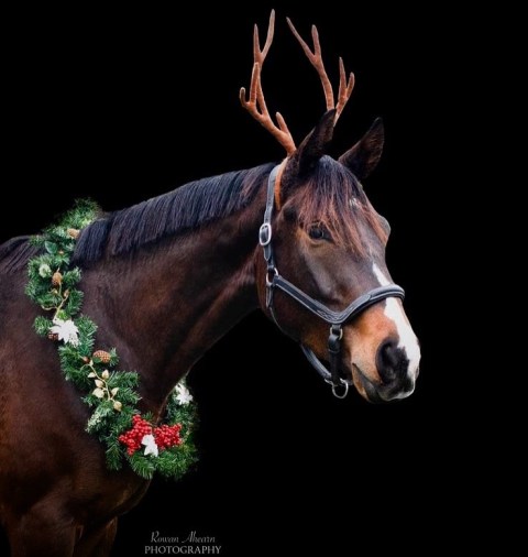 75a0ee76-6eb6-49ab-9464-40859436767a