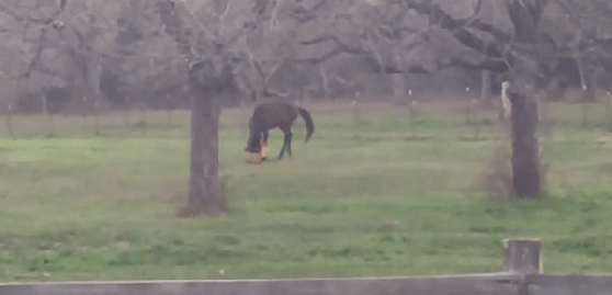 ezgif.com-video-to-gif (3)