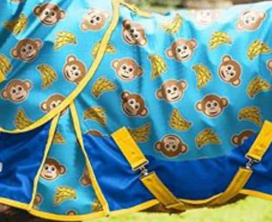 monkeyblanket