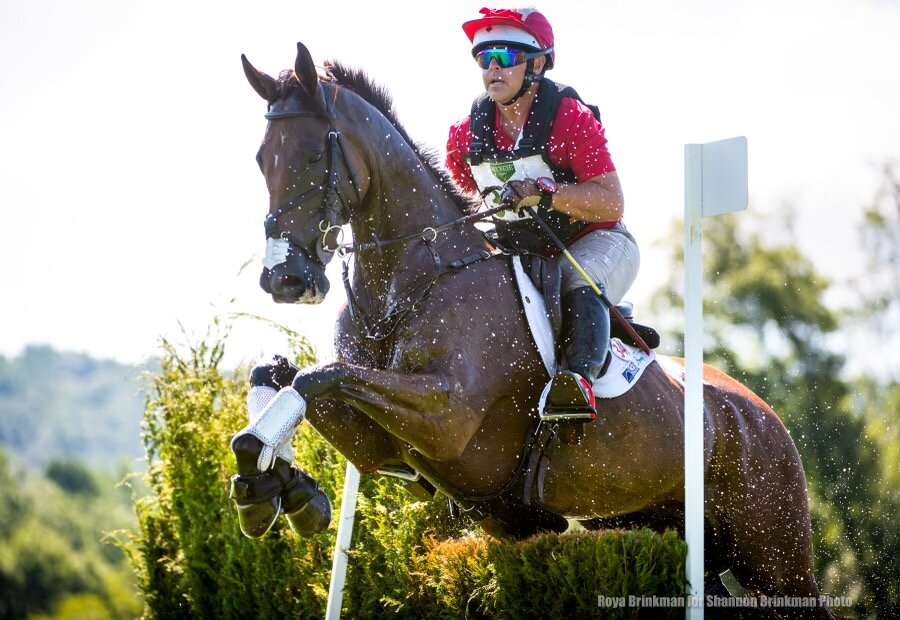 Sorocaima — BDJ Equestrian